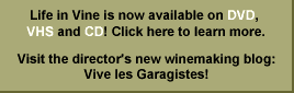 Life in Vine now available on DVD!
