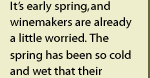 It's early spring in 1999, and winemakers are already a little worried. The spring has been so cold and wet