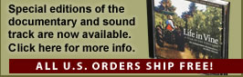 Special editions of the Life in Vine documentary and sound track are now available on DVD, VHS and CD. Click here for more info