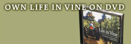 Own the Life in Vine VHS and CD